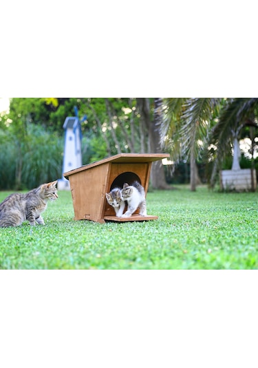 MANDU Ahşap Mini Kedi Evi (Yeni Doğan evi)
