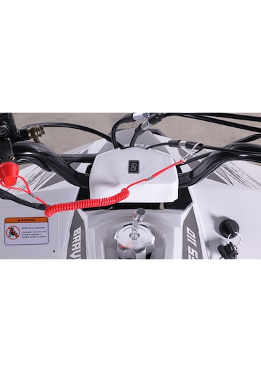 Skyjet Braves 110 Off Road Atv Siyah
