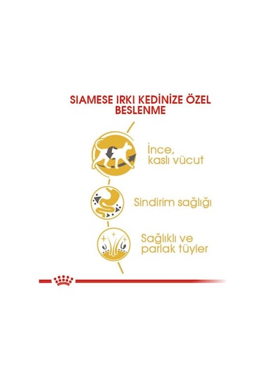 Royal Canin Siamese 38 Yetişkin Kedi Maması 2 KG