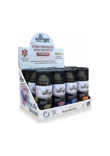 Ebrayn Premium Klima Temizleyici Hava Tazeleyici Kokulu 150 ML