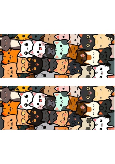 Çılgın Kediler Baskılı Araç Kapı Direk Kaplama Folyo Sticker 2'li Sağ&sol