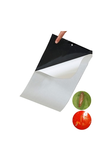 Siyah Yapışkan Levha Tuzak 25 40