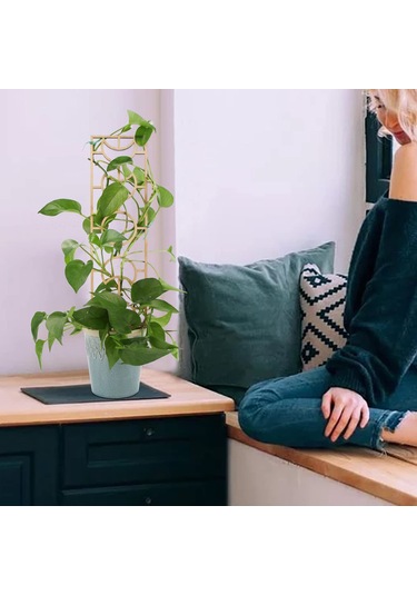 Ximistore9 Ahşap Bahçe Sarmaşık Desteği, 3 Parça İç-dış Mekan Bitki Dekorasyonu 300x132mm