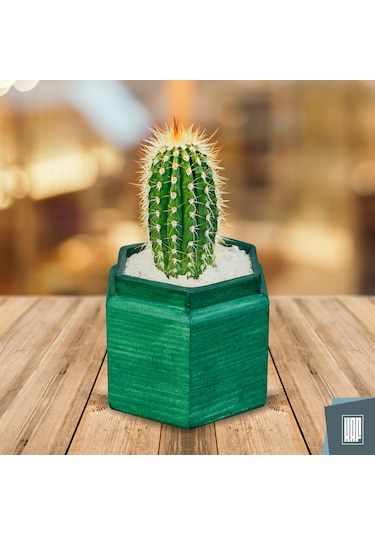 Kaf Ahşap Dekoratif Mini Saksı / Altıgen / Zümrüt Yeşili