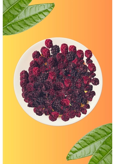 Freezya Freeze Dried Dondurularak Kurutulmuş Böğürtlen 15 G