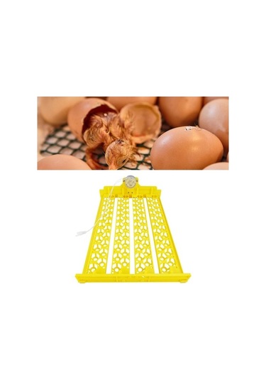 Pazly Yumurta Suntek Mini Makinesi Kümes Kuluçka Hayvanları, 88 Dw