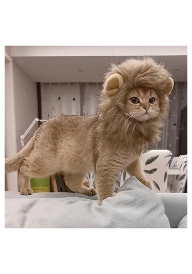 Traje Den Kedi Kostümü Aslan Yelesi