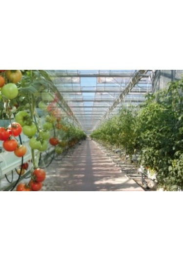 Emirhan Nalbur 1.Kalite Çelik Çamaşır Ipi Pvc Kaplı 200 M 3 MM (Orta )