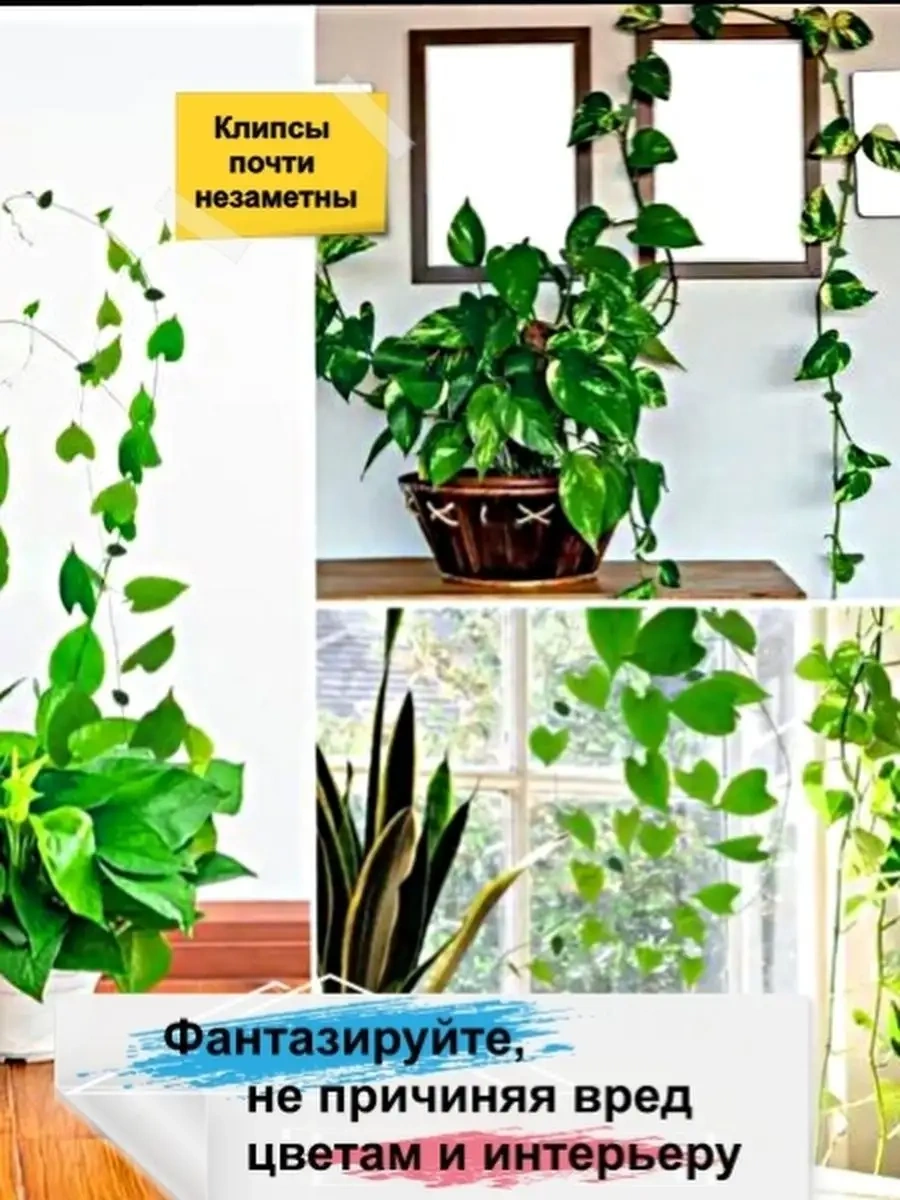 Greduha Bitki Destekleyici Duvara Montaj İçin 10'lu Klips Seti 155968241