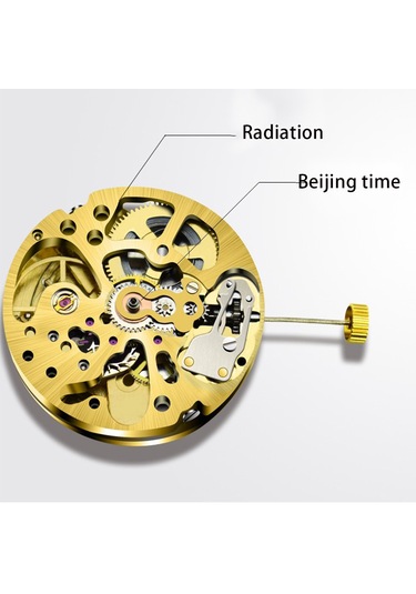 Xurunkeji Altın İskelet 2004 Hareketi Sıradan Sarkaç Ayarı Radyasyon Desenli Tam Otomatik Saat Hareketi Altın