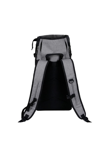 Homyl Kedi Ve Küçük Köpek Seyahat Kamp Yürüyüş Için