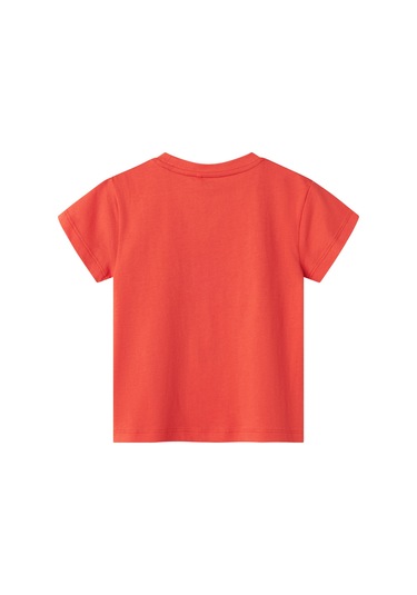 Name It Nmmfısh Nreg Ss Top Box Yeşil Erkek Çocuk Kısa Kol T-shirt Yeşil