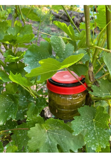 Tokat Salamura Asma Yaprağı 3 Kg.