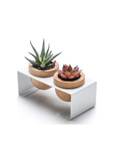 Halohope Metal Stantlı 2'li Skulent Saksısı Beyaz Saksılık