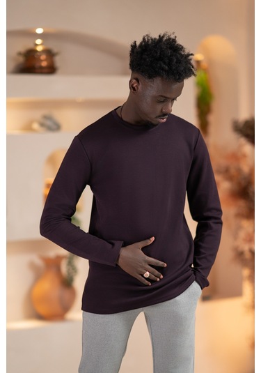 Paul Martin Modal Esnek Kumaş Regular Fit Mevsimlik Sweatshirt Mor