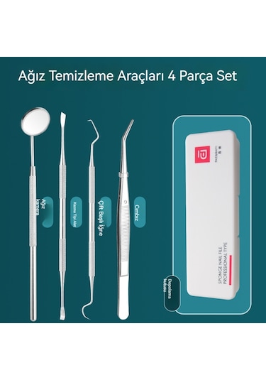 Diş Taşı Sökücü Ağız Bakım Aracı Endoskopik Tıbbi Prob Temizleme Diş Lekeleri Tartar Ağız Aracı 4 Adet Plastik Kutu