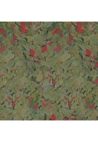 Sera Flora 250 G