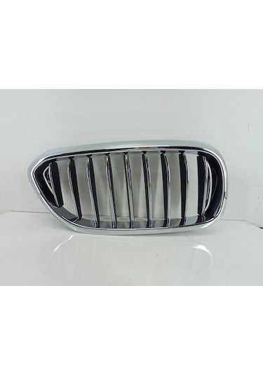 Bmw G30 Luxury Sağ Panjur-Izgara 51137390866