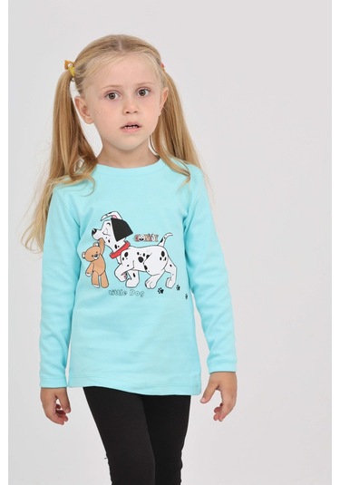 Toontoy Kız Çocuk Köpekli Ayı Baskılı Sweatshirt Turkuaz