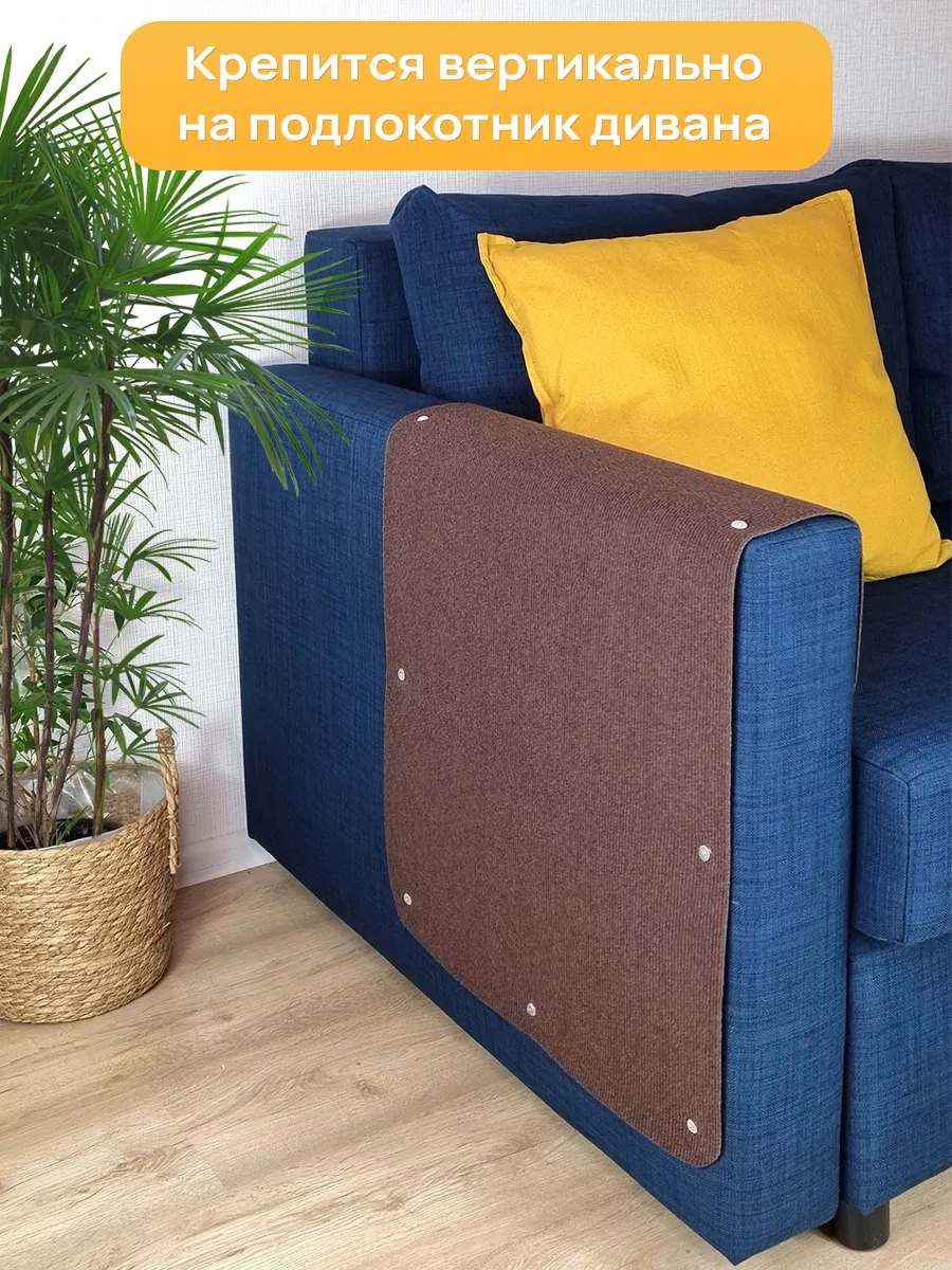 Aseliadia Kedi Kınağı - 80x50 Cm Kanepe Tipi 214462810