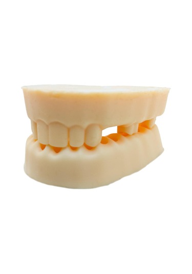 Barışhan Medikal Silikon Çene Diş Dikiş Modeli Ortodontik Alt Üst Çene Periodontal Sütür Eğitim Modeli-4
