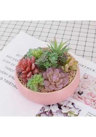 Xiyyadms Dıy Yapılandırılabilir Simülasyon Sukulent Bitki Seti - Bakım Gerektirmeyen Ev Dekorasyonu Duvar Yeşilliği