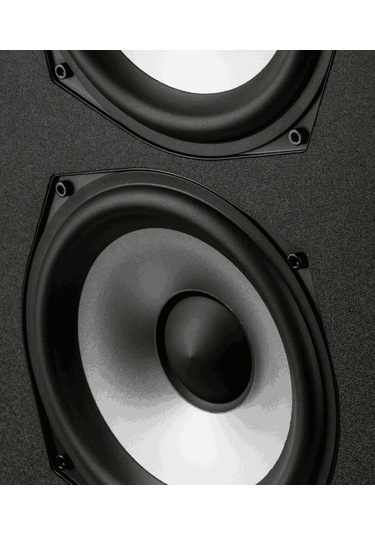 Polk Audio Monitor XT70 Kule Tipi Hoparlör