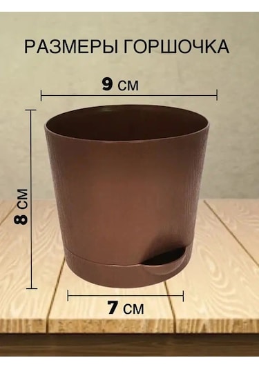 Interm Kaktüs Saksısı Minik Succulent, Menekşe Ve Çiçekler İçin Saksı 133193596