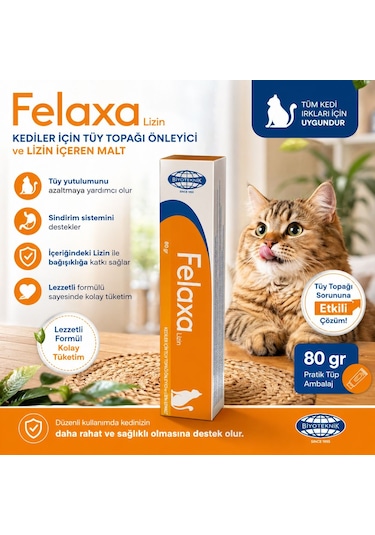 Biyoteknik Felaxa Lizin Oral Pat Malt 80 Gr