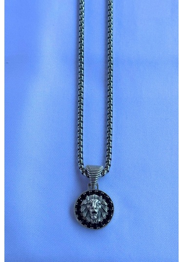 Aslan El İşçiliği Paslanmaz Çelik Zincir Erkek Kolye Gümüş