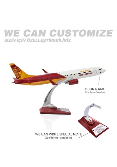 Zekupp Boeing 737-800 1/100 Ölçek Lion King Tasarımlı Maket Uçak