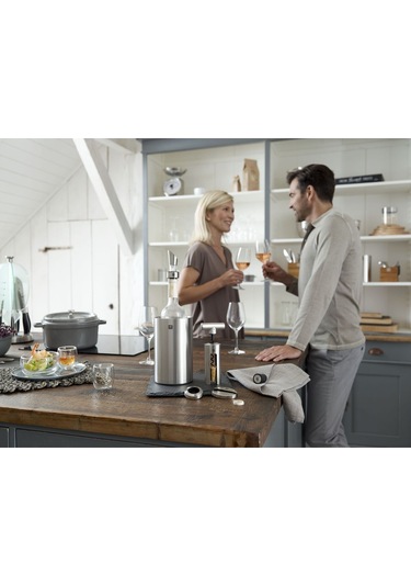 ZWİLLİNG Sommelier Şarap Soğutucu Gümüş