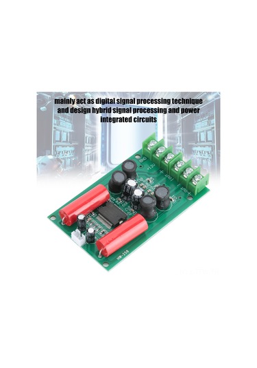 Tenfowee Ta2024 Çipli Mini Dijital Güç Amfi Kartı - Araç, Bilgisayar Ve Ev Tiyatro Sistemi İçin Yüksek Kaliteli Ses, 4-8 Ohm Hoparlör Uyumlu, Aşırı Akım Ve Sıcaklık Korumalı