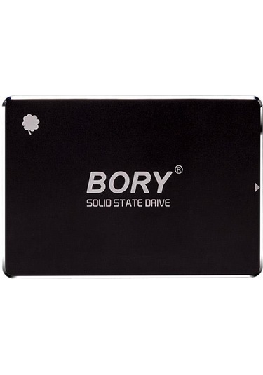 1 TB BORY SATA3 R500-C1T SSD 550/510 MBS (3 YIL GARANTİLİ)