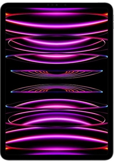 Apple iPad Pro 11 (4. Nesil) MNXK3TU/A 16 GB 1 TB 11" Tablet Uzay Grisi