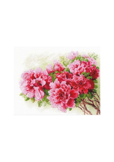 Rıolıs Nakış Seti Muhteşem Azalea 30x24 Cm 2258 332429728