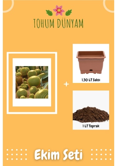 Dev Kaktüs Çiçeği Tohumu Ekim Seti