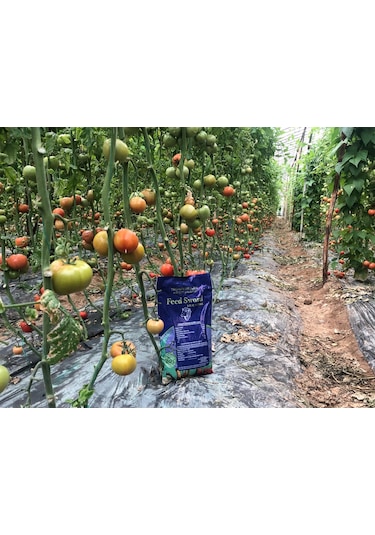 2,5 Kg Isıl İşlem Görmüş Yanmış Elenmiş Koyun Gübresi Organik