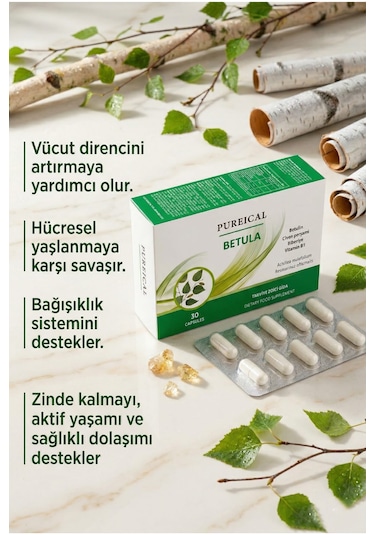 Pureıcal Betula Huş Ağacı Özü Betulin Civan Perçemi Biberiye B1 Vitamini 30 Kapsül