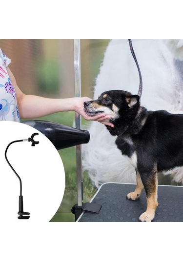 Suntek Evcil Hayvan Saç Kurutma Makinesi Standı Kedi Bakım