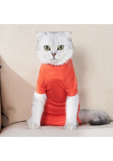 Geekyou Kedi Ameliyat Sonrası Kıyafeti - Dört Ayaklı, Yırtılmaz Dokuma, Yaraları Yalama Engeli - Turuncu, Beden L