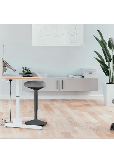Leitz Ergo Active A Konforlu Oturaklı Sit Standing Tabure - Kod:65450089 Gri
