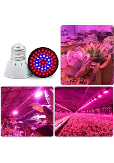Samdoo Bitki Büyüme Lambası - 80 Led Kırmızı+mavi Tam Spektrum Gu10 Hidroponik Çiçek Sebze Yetiştirme Diğer
