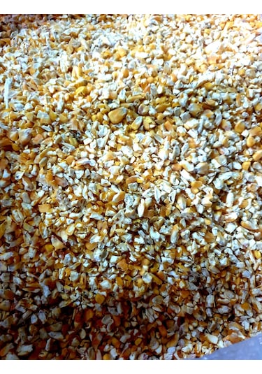 Akderepet Kırık Mısır Yem 1 KG