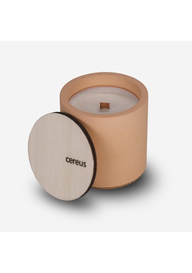 Amber Kokulu Doğal Soya Mum – Cereus Inytium Serisi El Yapımı Beton Kavanoz Mum 210 gr