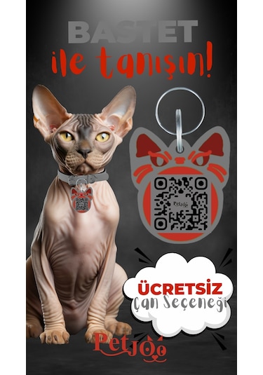 Petjoo 1.Bastet Kırmızı-Gri Qr'lı Kedi Künyesi