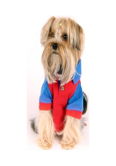 Maxstylespet Lacoste Kedi Köpek Tshirt
