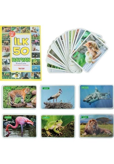 Diytoy F.cards Yaşam Alanında İlk 50 Hayvan