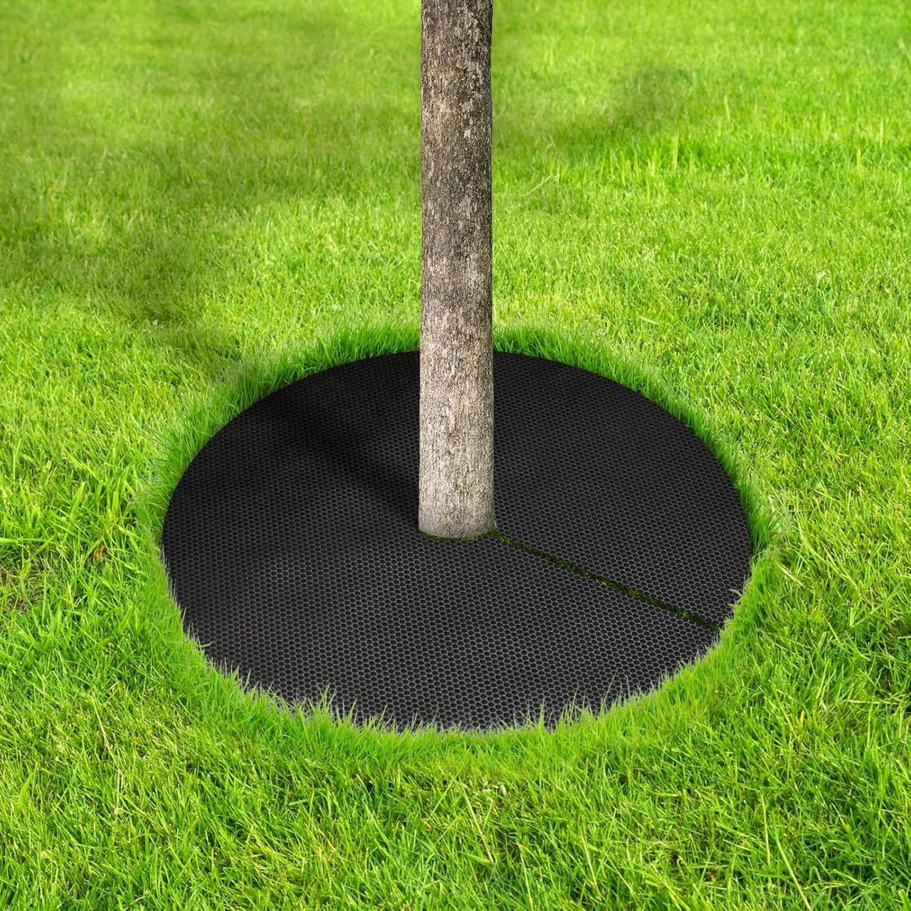 Yuntech01 12 Adet 52cm Çaplı Ağac Korumalı Döşeme, Dikdörtgen Örgü, Bitki Kökünü Koruma, Ot Kontrol, Ev Bahçesi, Saksı Bitkileri İçin