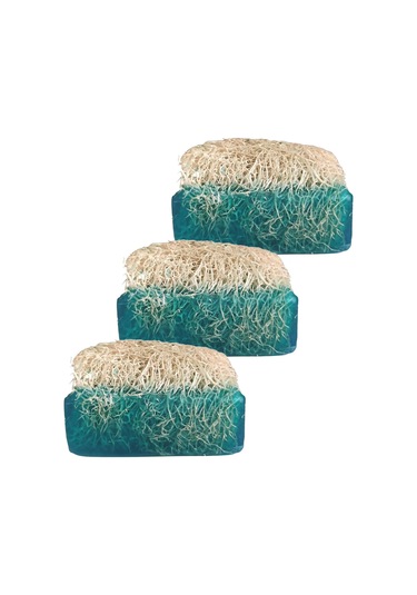Doğal Kabak Lifli Okyanus Kokulu Sabun 120 Gr. Üçlü Set